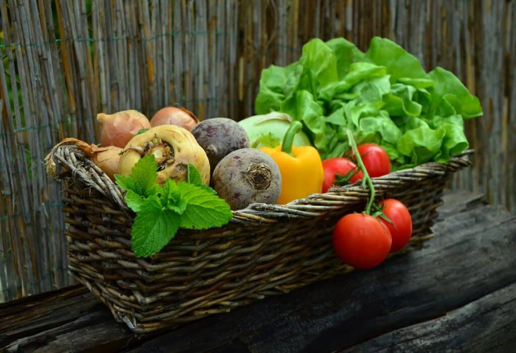 Les légumes : les manger en début de repas, mythe ou réalité ?