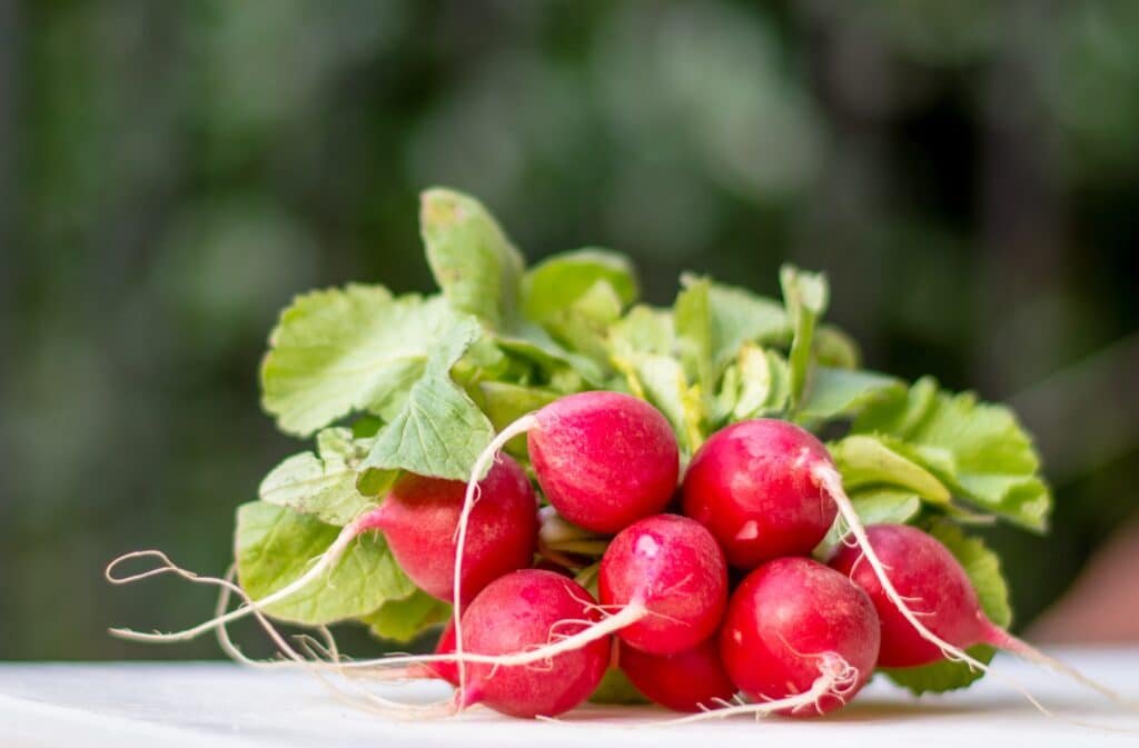 Les radis, le super-aliment méconnu : découvrez leurs incroyables bienfaits !